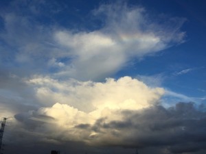 IMG_3446