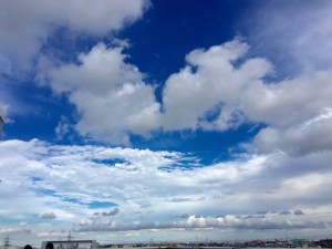 IMG_9189