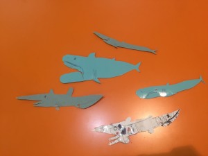 IMG_5602
