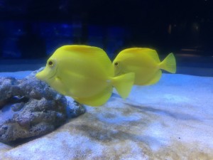 IMG_5894