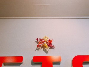 IMG_5348