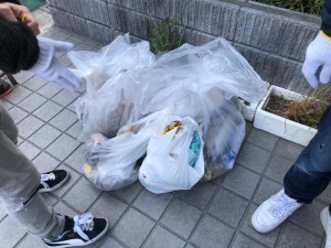 IMG_8441
